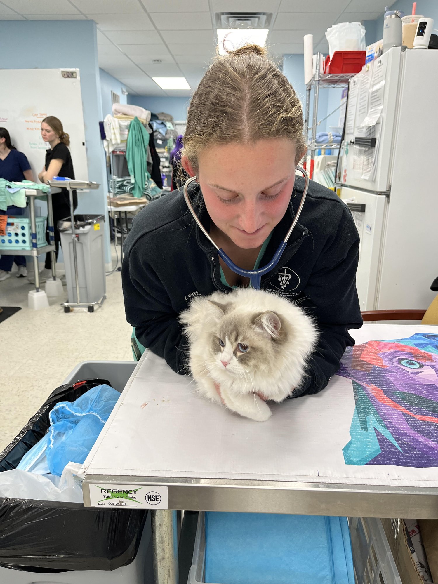 Helping PAW team member examining a cat